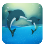 爱倾海手机端安装 v1.0