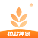 大麦相机app下载 v1.0