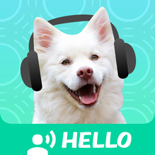 狗语翻译器 v1.4.8