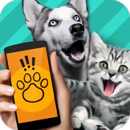 鸟语翻译器 v1.0.0