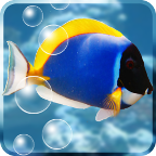 水族馆屏保动态壁纸 v5.6.3