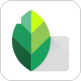 snapseed v2.19.1.303051424