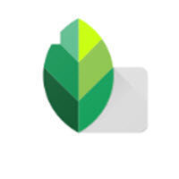 snapseed修图软件手机免费下载安装安卓版 v2.19.1.303051424