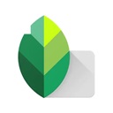 snapseed官方版最新版本2024 v2.19.1.303051424