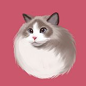 手机壁纸库高清版app免费下载 v1.1