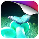 荧光动态壁纸下载安装手机版免费软件 v1.0.0