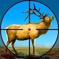 动物射击枪安卓版手游下载地址