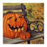 南瓜壁纸app下载安装 v1.0.0