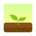 Forest v4.55.1