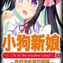 小狗新娘