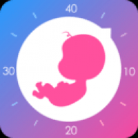 妈妈网孕育官网版app