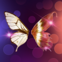夜蝶直播 v8.5.2