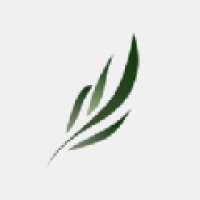 东南小说 v1.4.07
