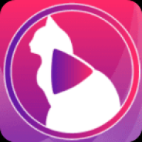 小猫直播官网版最新下载 v2.0.21.2
