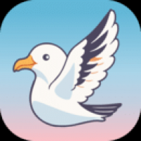 海鸥直播 v4.0
