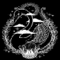 天鹅影视 v1.0.2