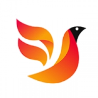 火鸟影视 v1.1.0