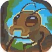蚁群野生森林下载 蚁群野生森林（V3.4.6）寒冰版