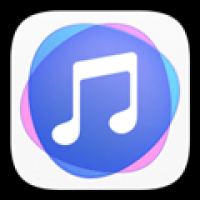 华为音乐 v12.11.34.300
