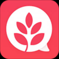 小麦圈 v1.0.5.0