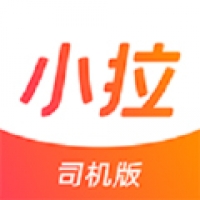 滴滴车主(图16)