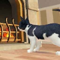 小猫历险记 小猫历险记