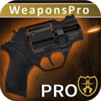 终极武器模拟器pro