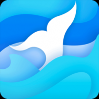 华采大宗 v1.2.54