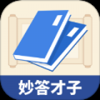 妙答才子