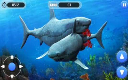 白鲨攻击任务3D截图
