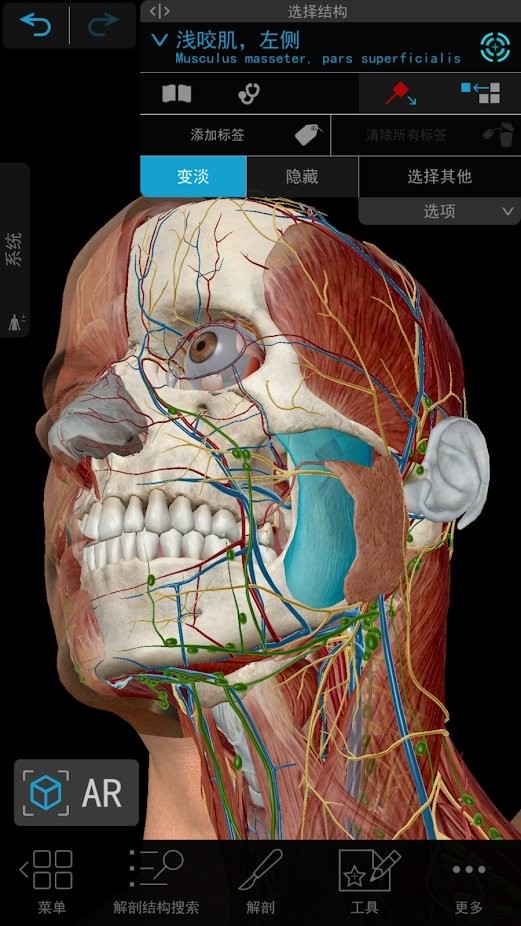 2021人体解剖图谱截图