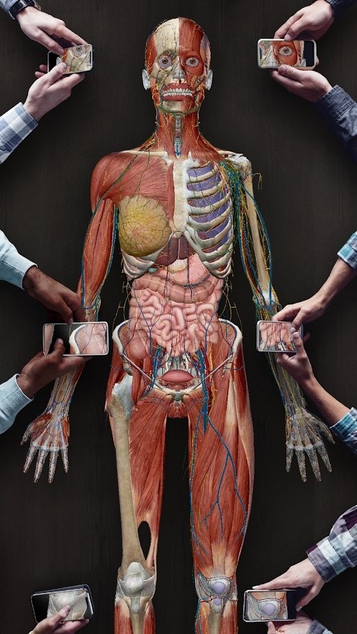2021人体解剖图谱截图