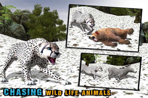 野生雪豹模拟器截图
