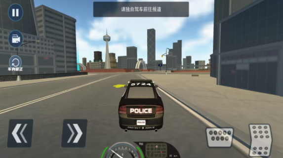 欧洲警车驾驶模拟手游无弹窗版免费下载v1.3截图