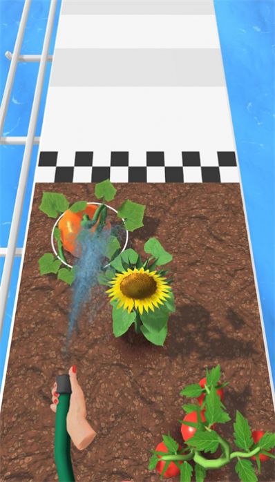 Garden Run种花跑者最新版游戏下载v0.4截图