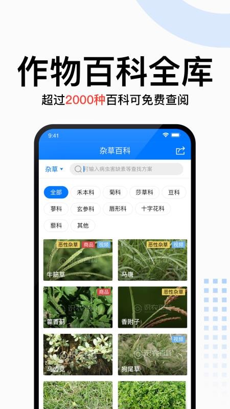 识农app下载截图