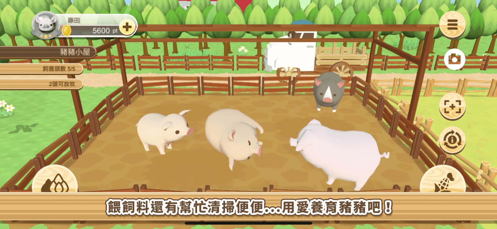 养猪场3d游戏下载截图
