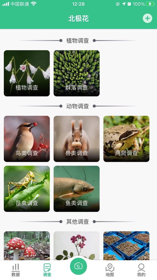 北极花生物调查截图