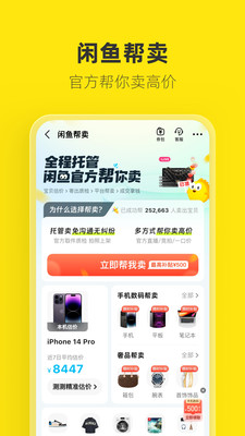 闲鱼iQOO12定制版截图