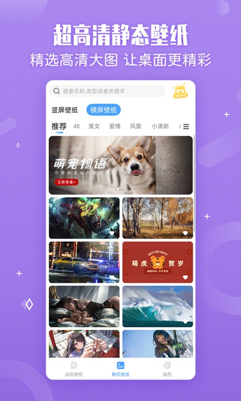 小鸟壁纸下载安装手机截图