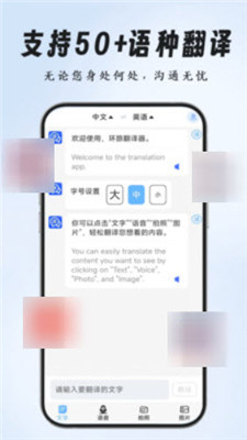 环旅翻译器截图