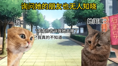 猫meme搞怪冒险截图