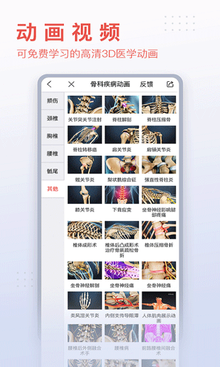 3dbody解剖截图