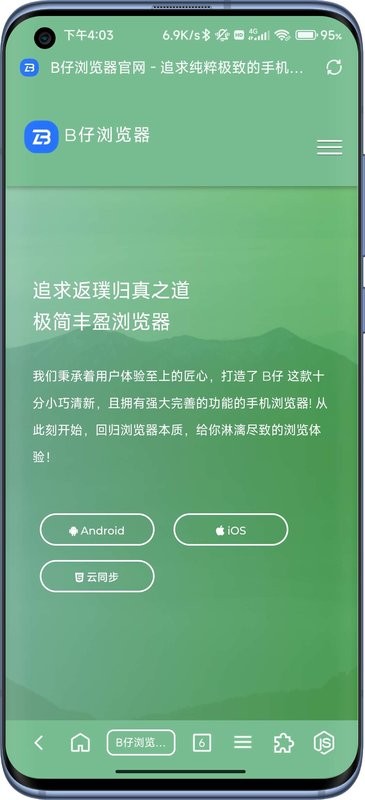 b仔浏览器酷安截图