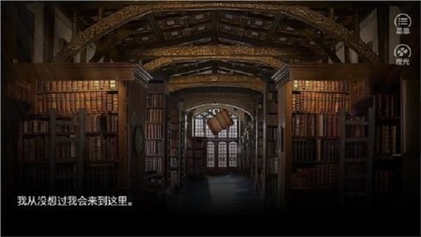 hp我能做的只有开枪截图