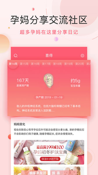 喜花开截图