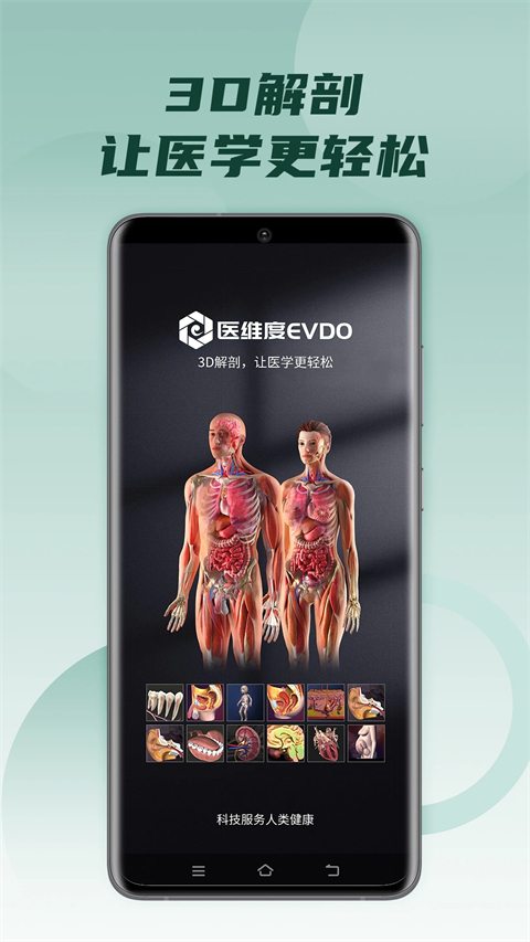 医维度解剖截图