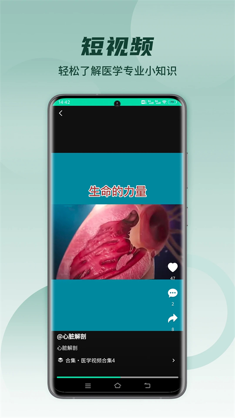 医维度解剖截图