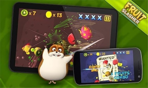 Fruit Slasher截图