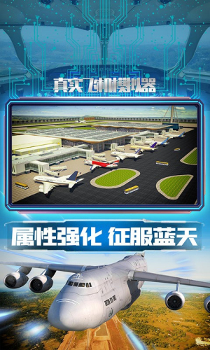 真实飞机模拟器截图